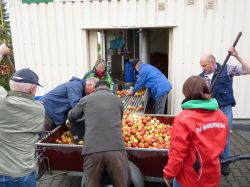 Obsternte Und Maischen 2012 18